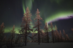 polar-lights-novy-urengoy-russia-1