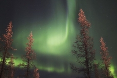 polar-lights-novy-urengoy-russia-5