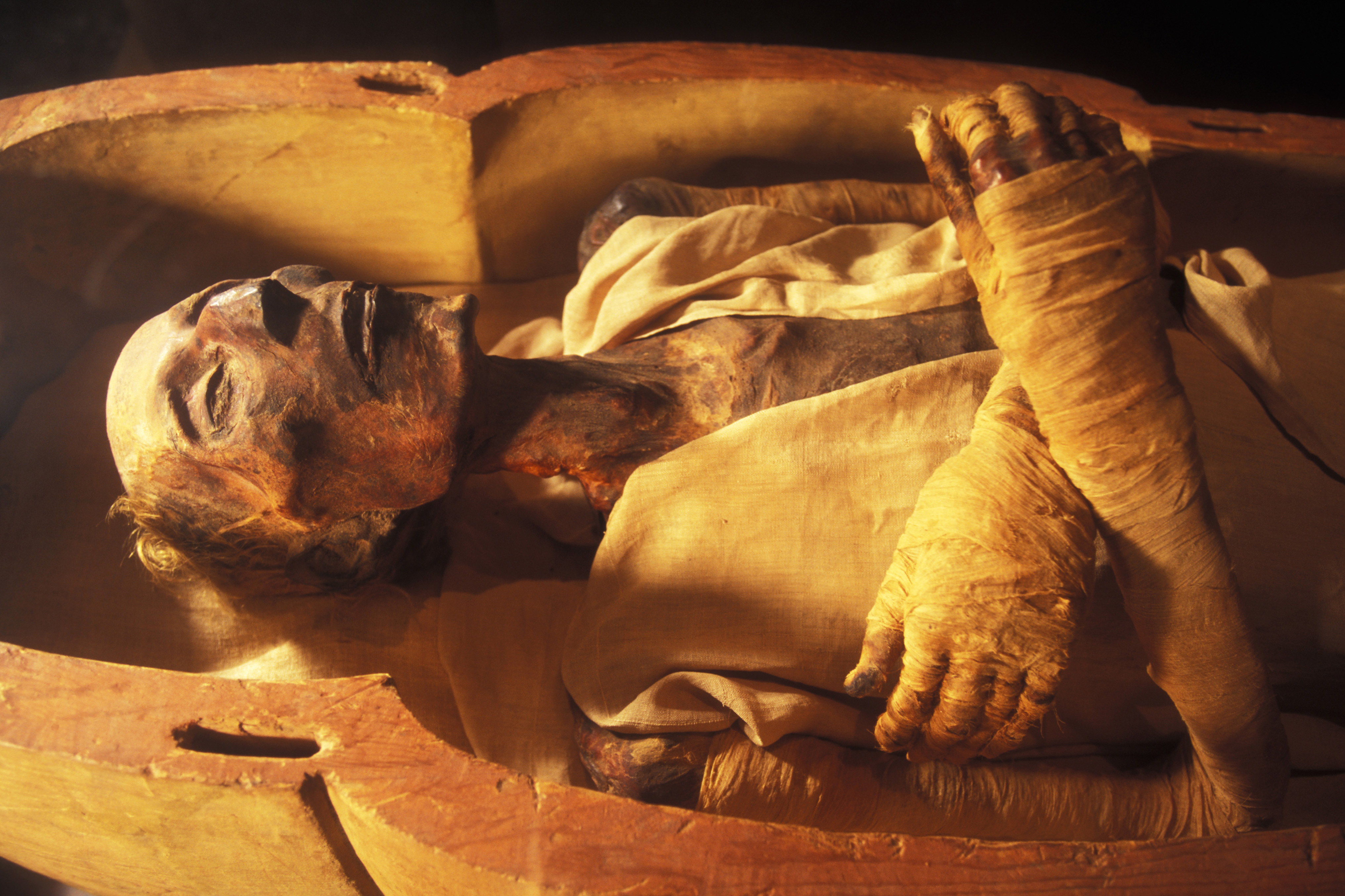 White Aryan Egyptian mummy